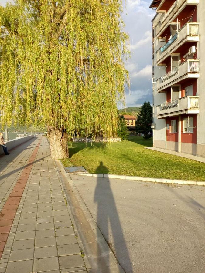Apartman Bogojevic ゴルバッツ エクステリア 写真